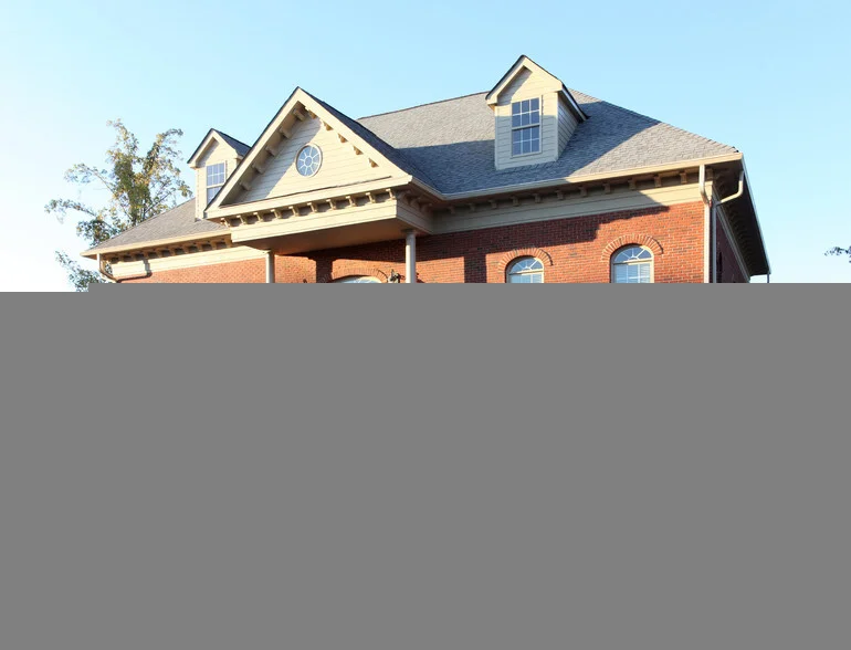 Southern Live Oak Wellness