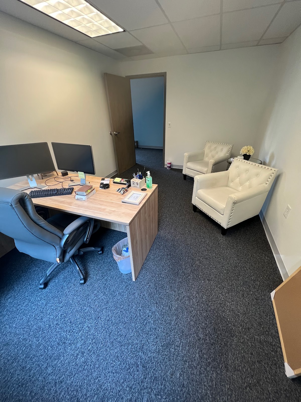 New View Wellness - Photo 1