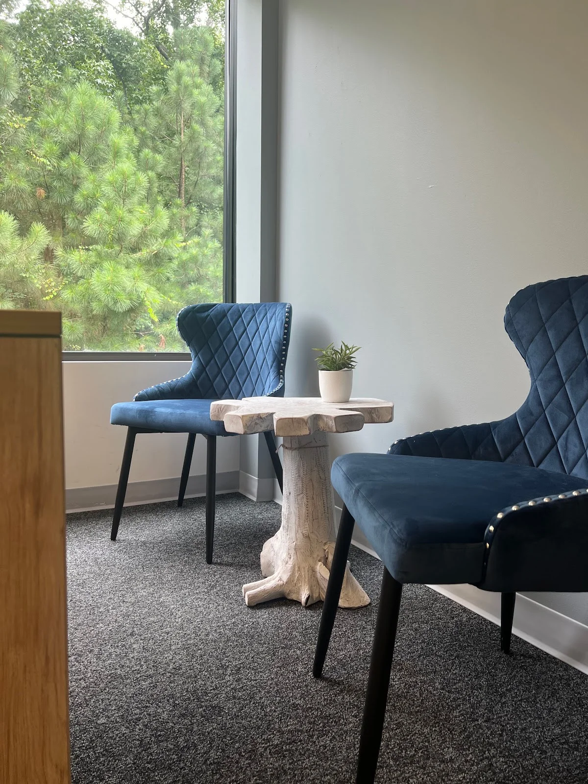 New View Wellness