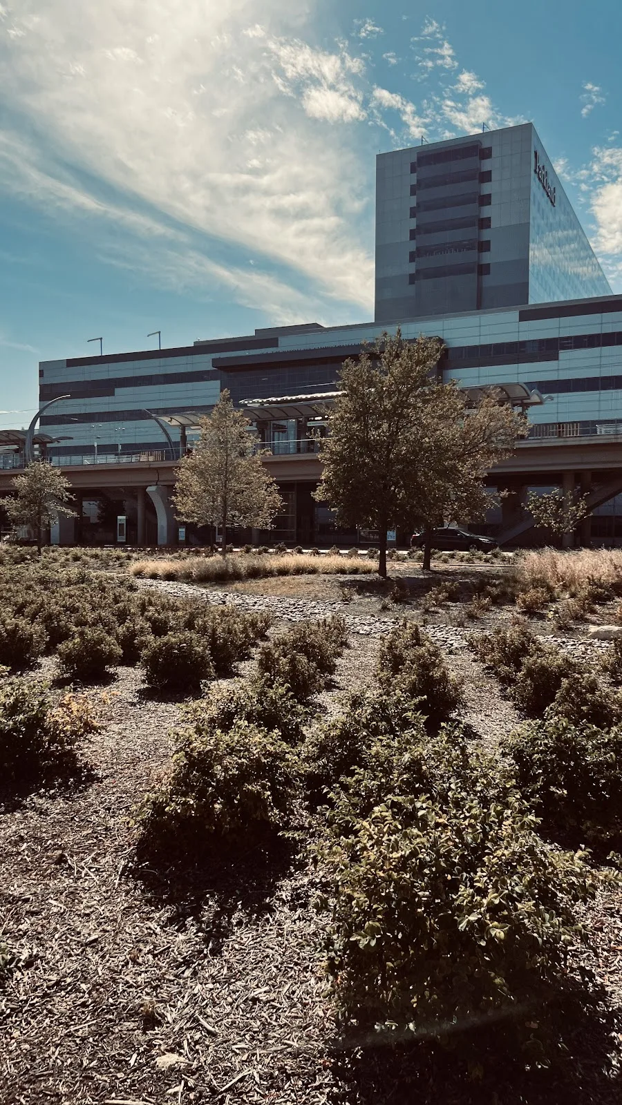 Moody Outpatient Center at Parkland Health