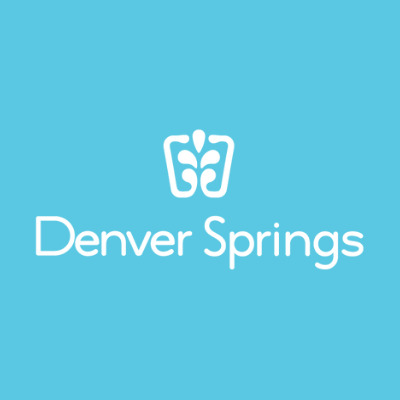 Denver Springs - Photo 4