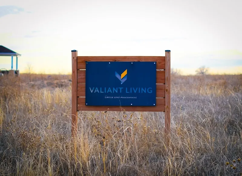 Valiant Living Detox and Assessment