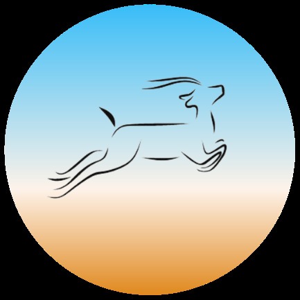 Antelope Recovery - Photo 2