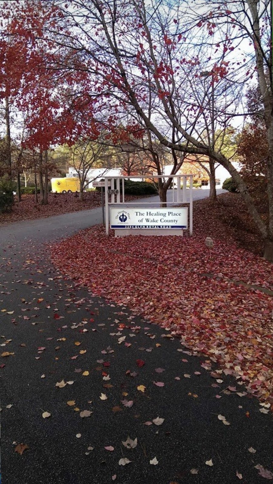 Healing Transitions - Photo 4