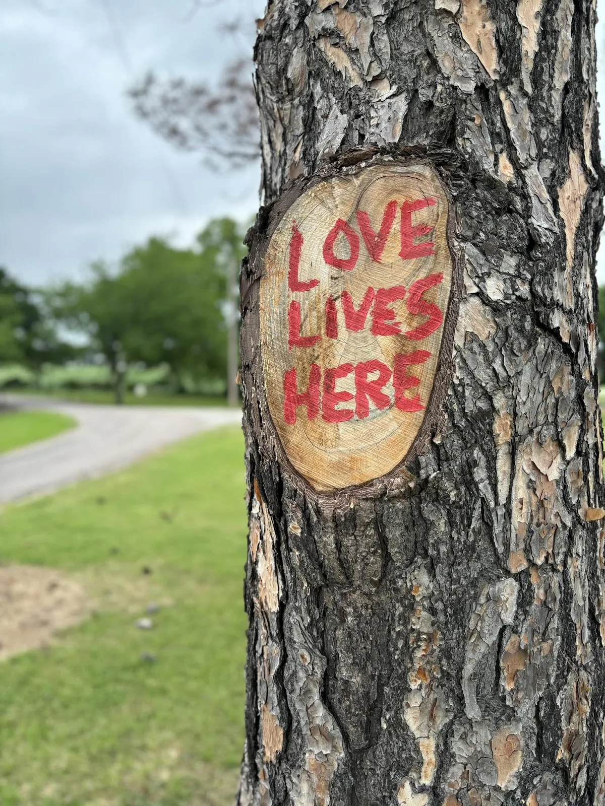 Healing Springs Ranch