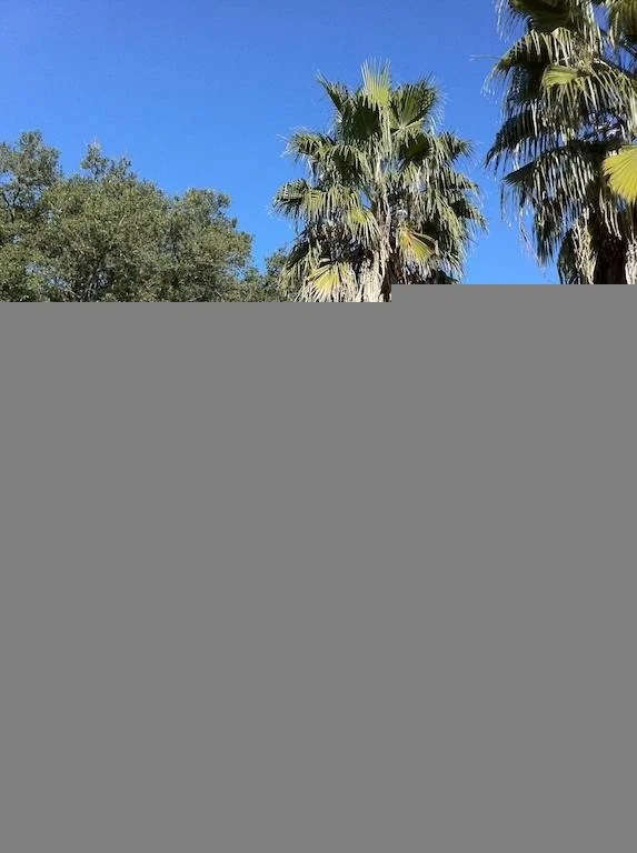 Houston Discovery Community