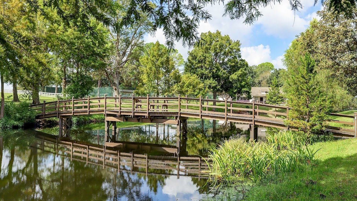 Orchard on the Brazos - Photo 4