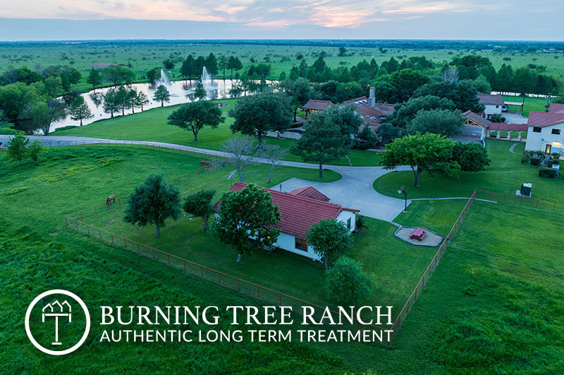 Burning Tree Ranch - Photo 3