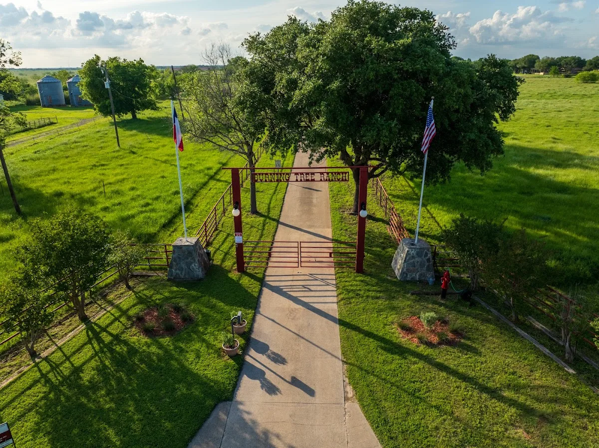 Burning Tree Ranch