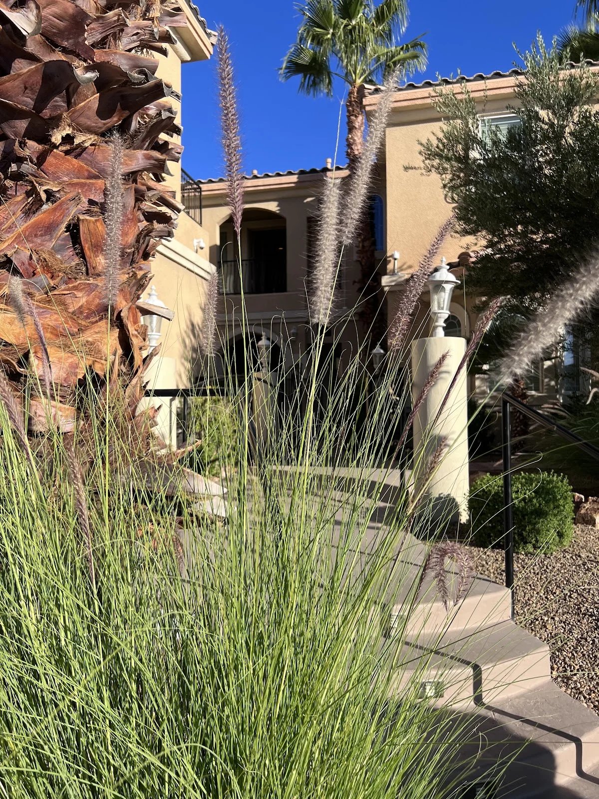 Luxe Treatment Center | Las Vegas Drug Rehab