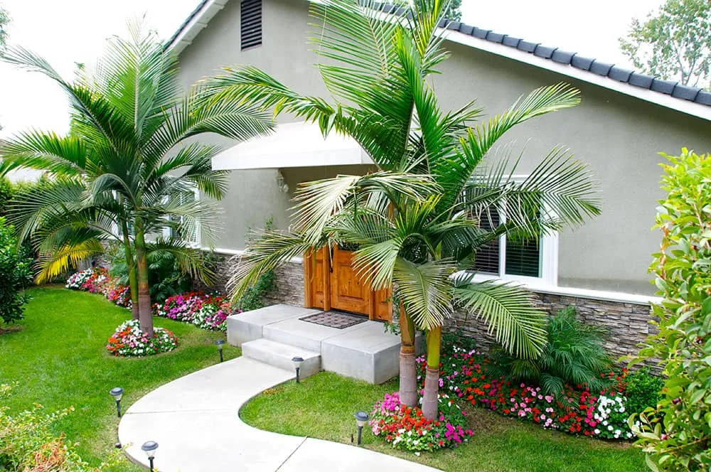 The Discovery House