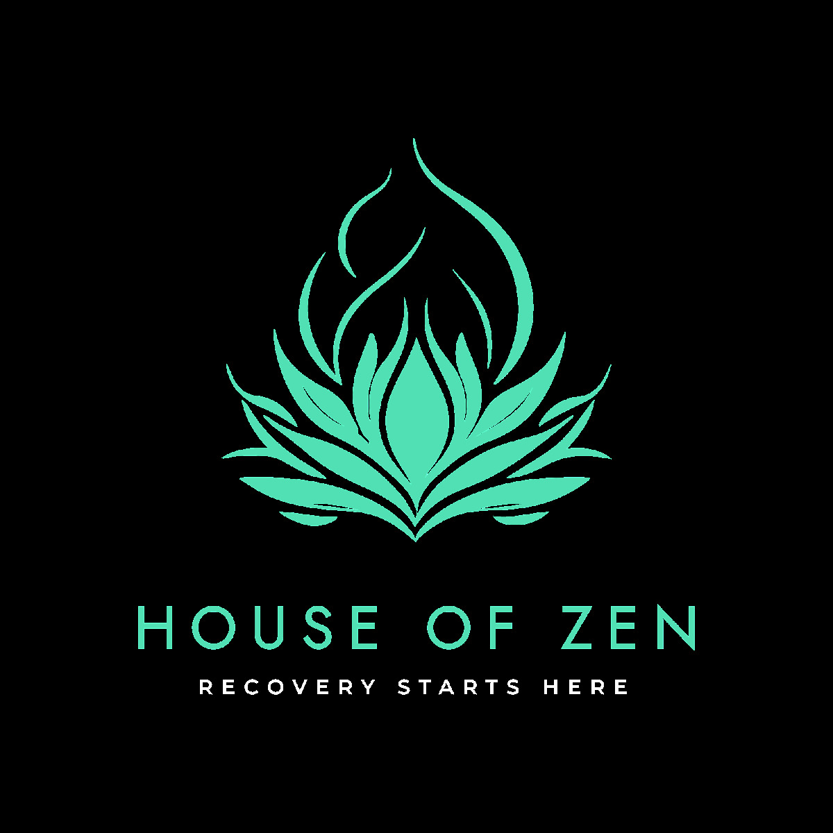 House of Zen - Photo 5
