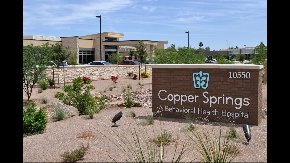Copper Springs - Photo 1