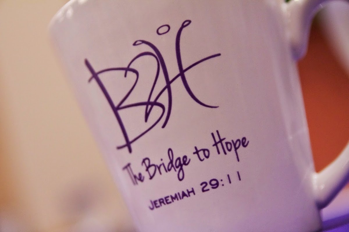The Bridge to Hope - Photo 2