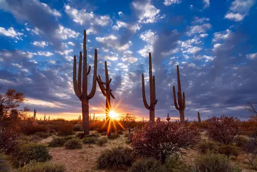 Saguaro Recovery - Sober Living facility photo