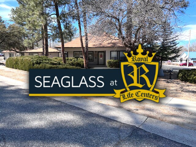 Seaglass Recovery At Royal
